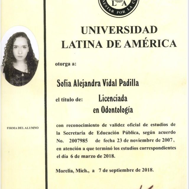 Ampliar imagen: certificate 1