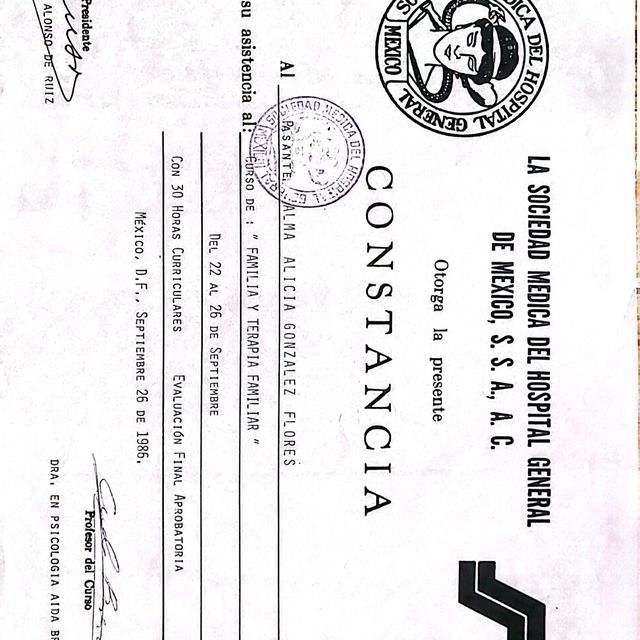 Ampliar imagen: certificate 17