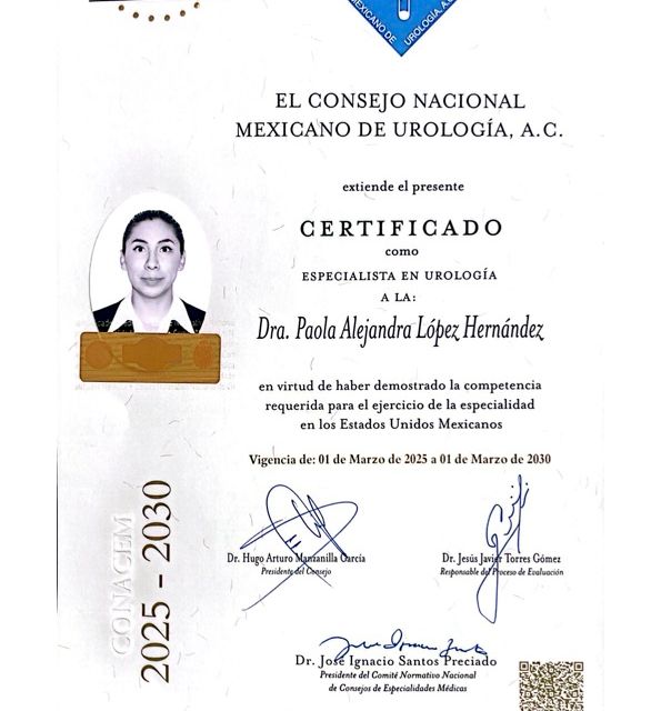 Ampliar imagen: certificate 1