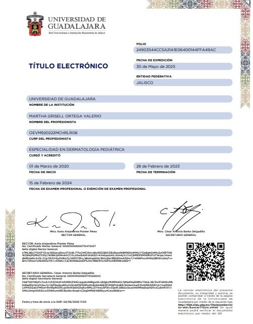 Ampliar imagen: certificate 12