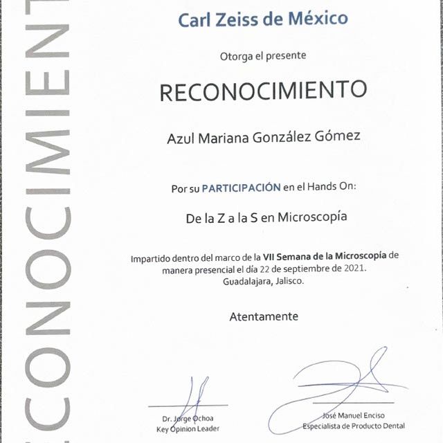Ampliar imagen: certificate 2