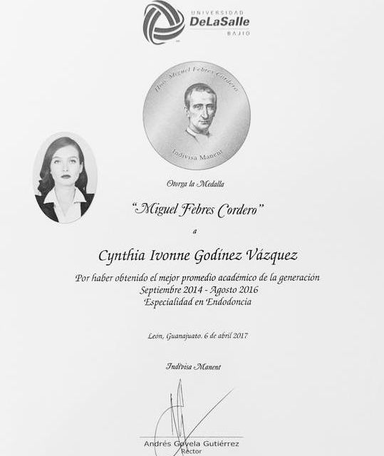 Ampliar imagen: certificate 1