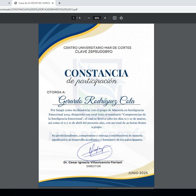 Ampliar imagen: certificate 22