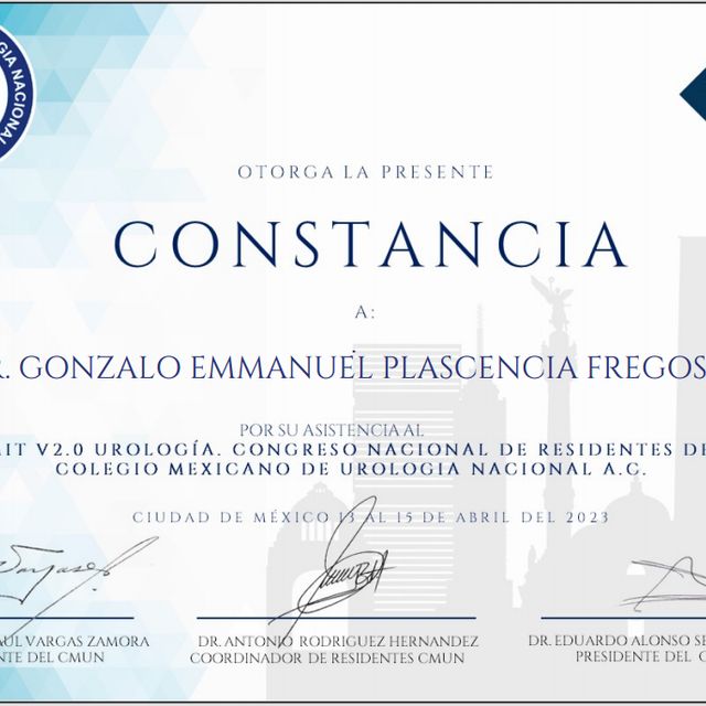 Ampliar imagen: certificate 2