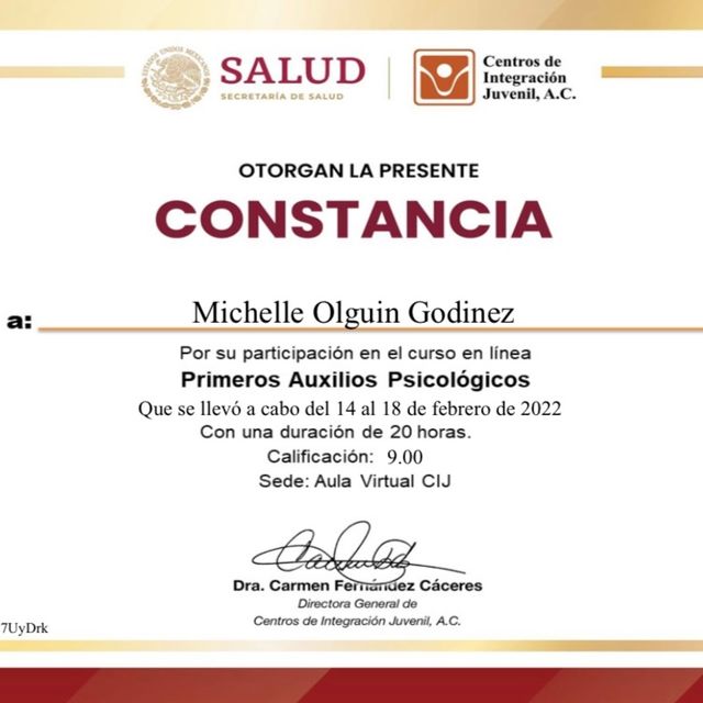Ampliar imagen: certificate 17