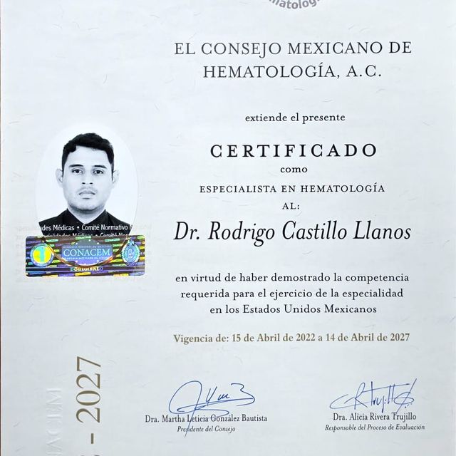 Ampliar imagen: certificate 1