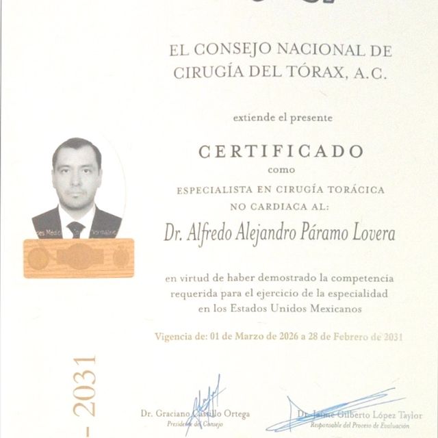 Ampliar imagen: certificate 4