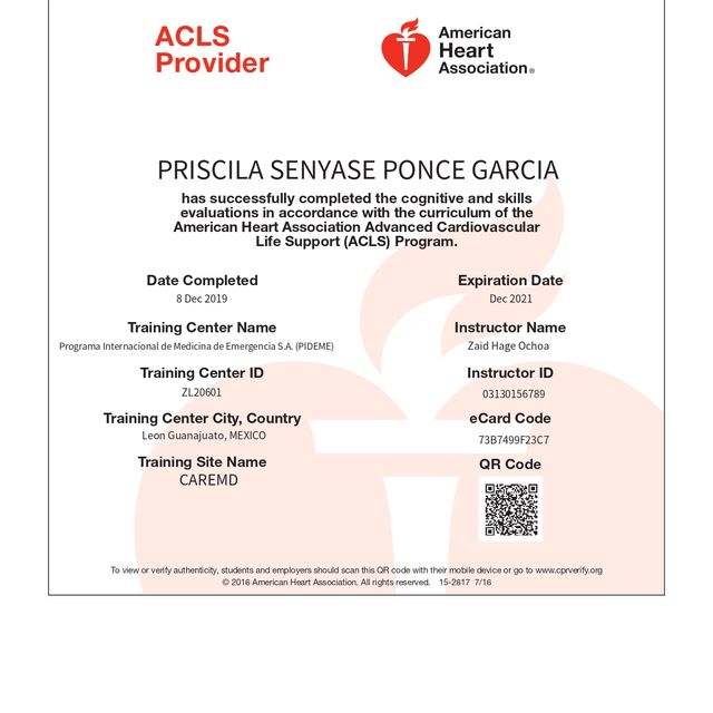 Ampliar imagen: certificate 3