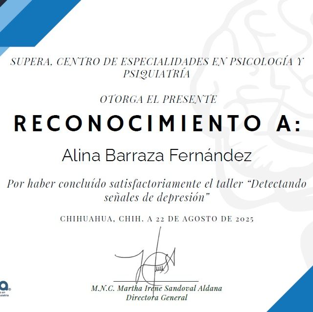 Ampliar imagen: certificate 2