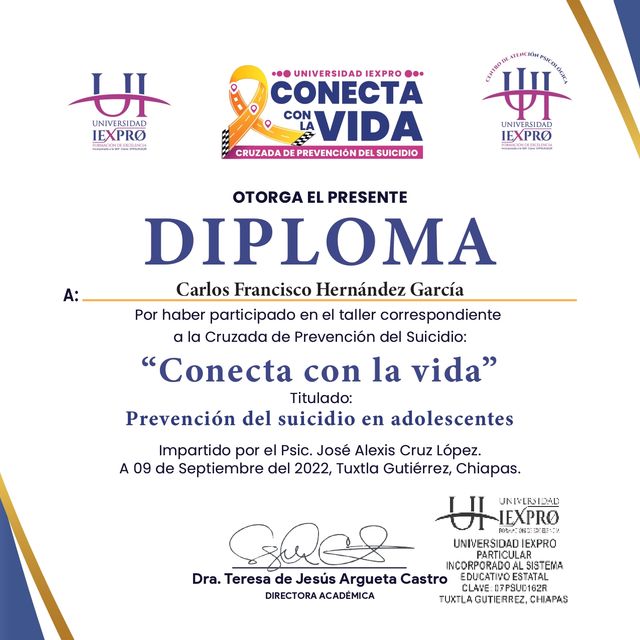 Ampliar imagen: certificate 3