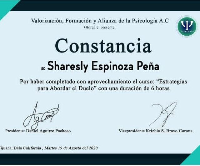 Ampliar imagen: certificate 4