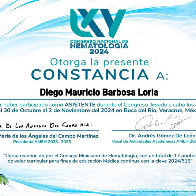 Ampliar imagen: certificate 9