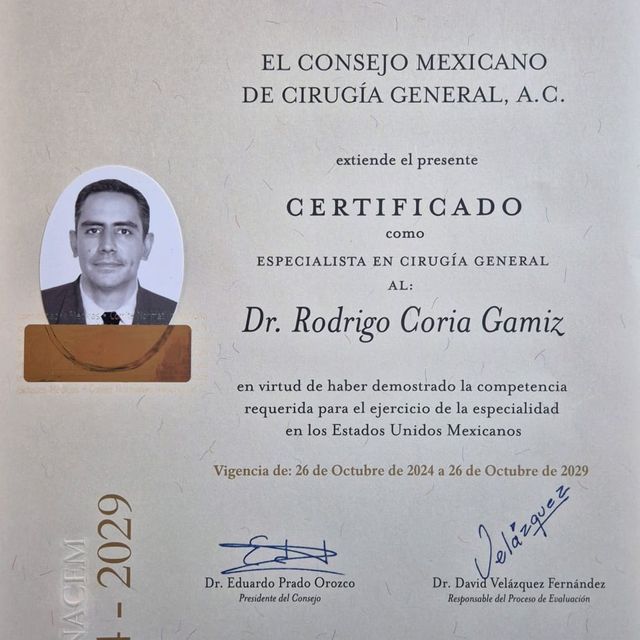 Ampliar imagen: certificate 3