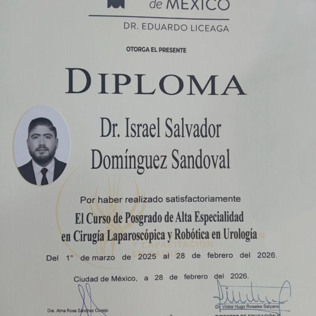 Ampliar imagen: certificate 3