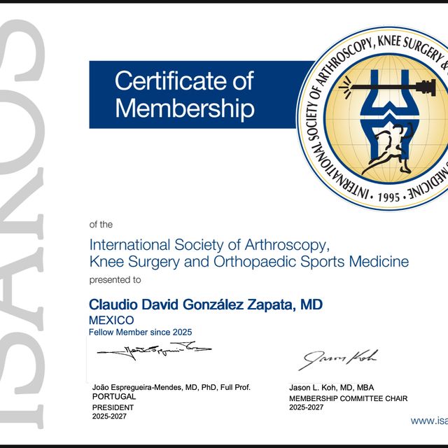 Ampliar imagen: certificate 5