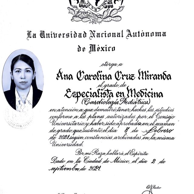 Ampliar imagen: certificate 3