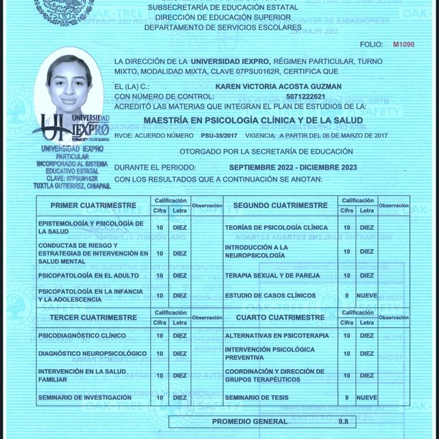 Ampliar imagen: certificate 27