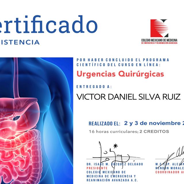 Ampliar imagen: certificate 4