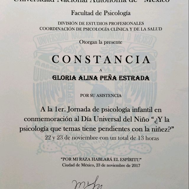 Ampliar imagen: certificate 21