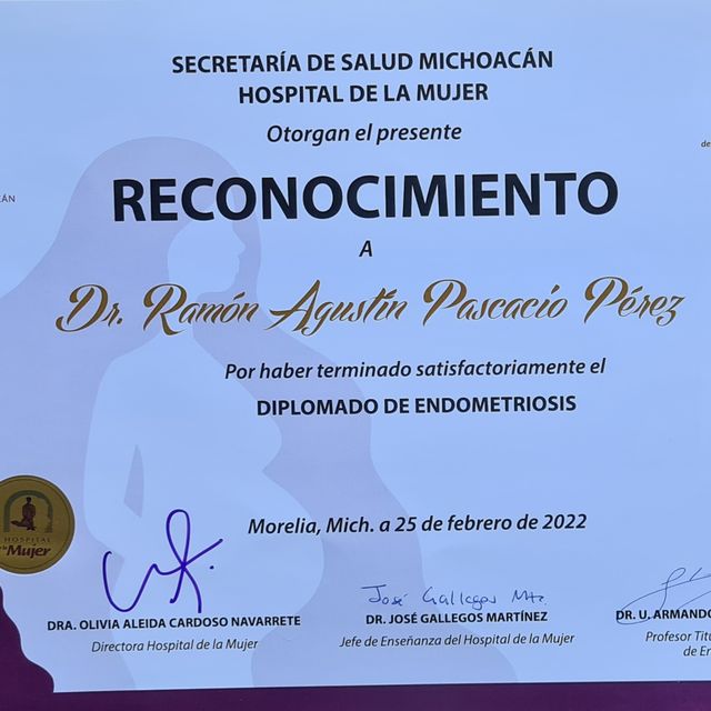 Ampliar imagen: certificate 19