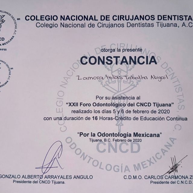Ampliar imagen: certificate 1