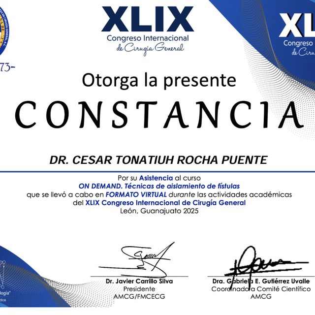 Ampliar imagen: certificate 46