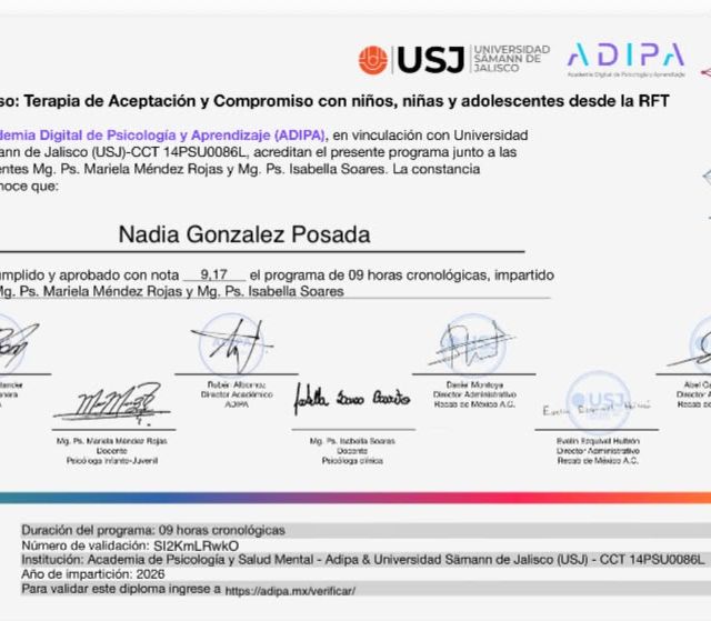 Ampliar imagen: certificate 3