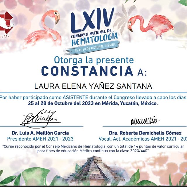 Ampliar imagen: certificate 17