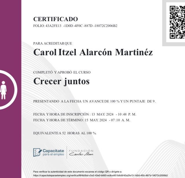 Ampliar imagen: certificate 4
