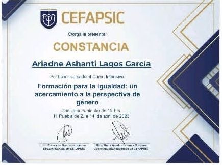 Ampliar imagen: certificate 5