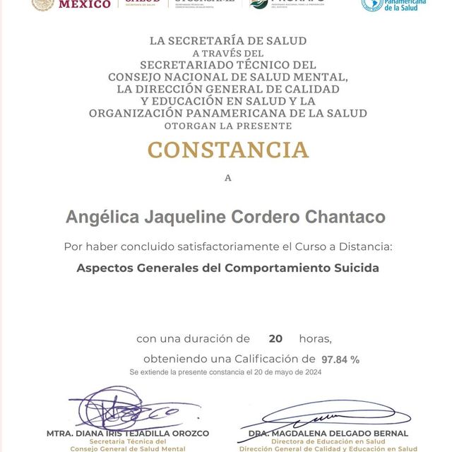 Ampliar imagen: certificate 4