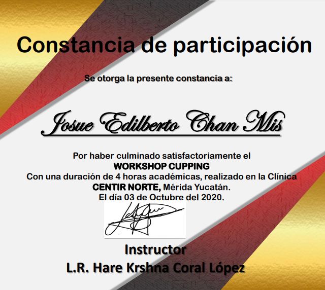 Ampliar imagen: certificate 5