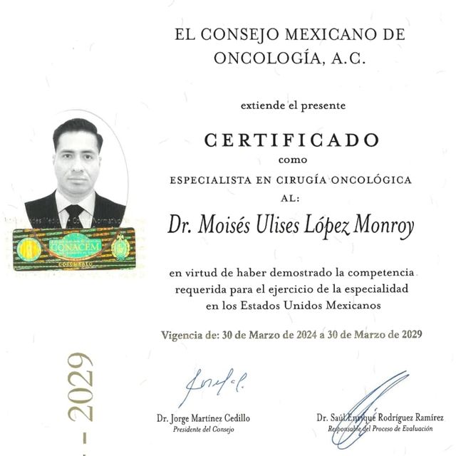 Ampliar imagen: certificate 1