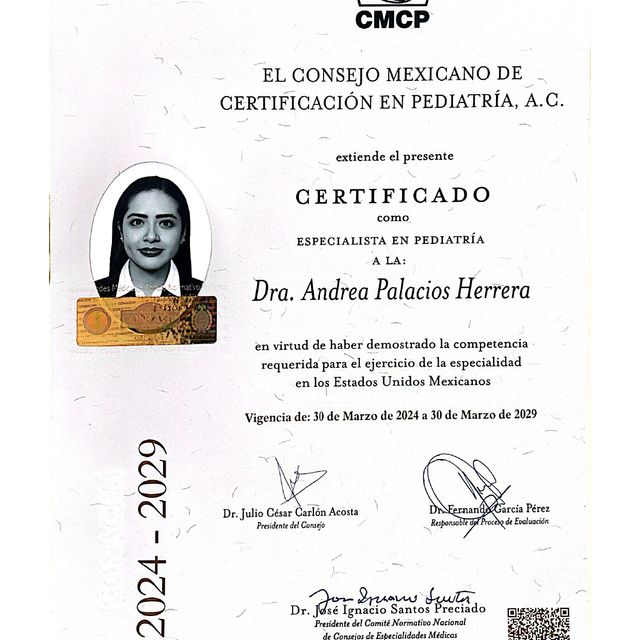 Ampliar imagen: certificate 2