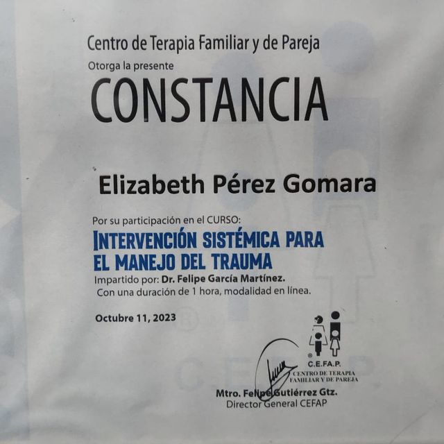 Ampliar imagen: certificate 4