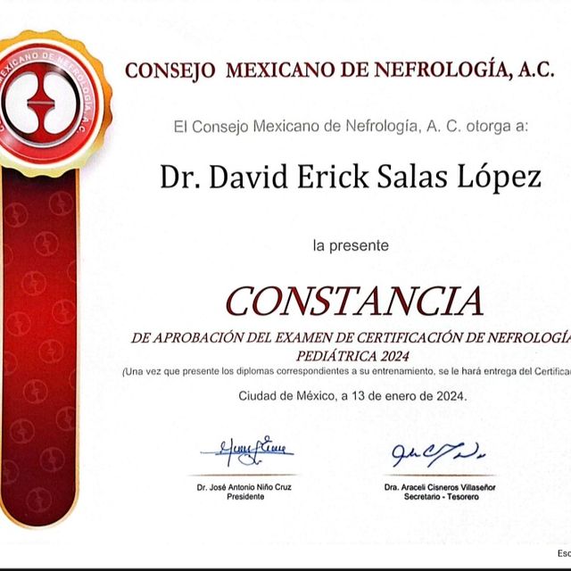 Ampliar imagen: certificate 1