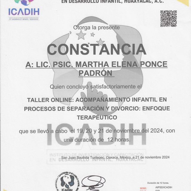 Ampliar imagen: certificate 11
