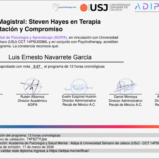Ampliar imagen: certificate 2