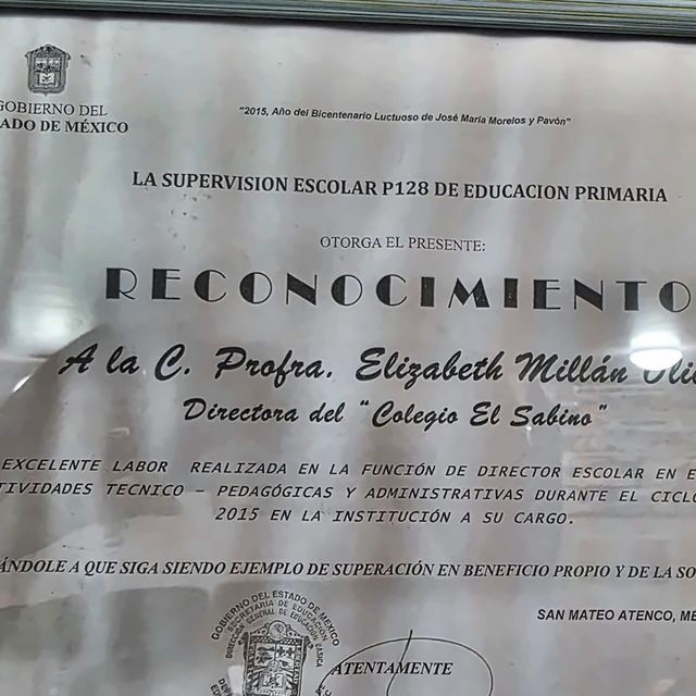 Ampliar imagen: certificate 14