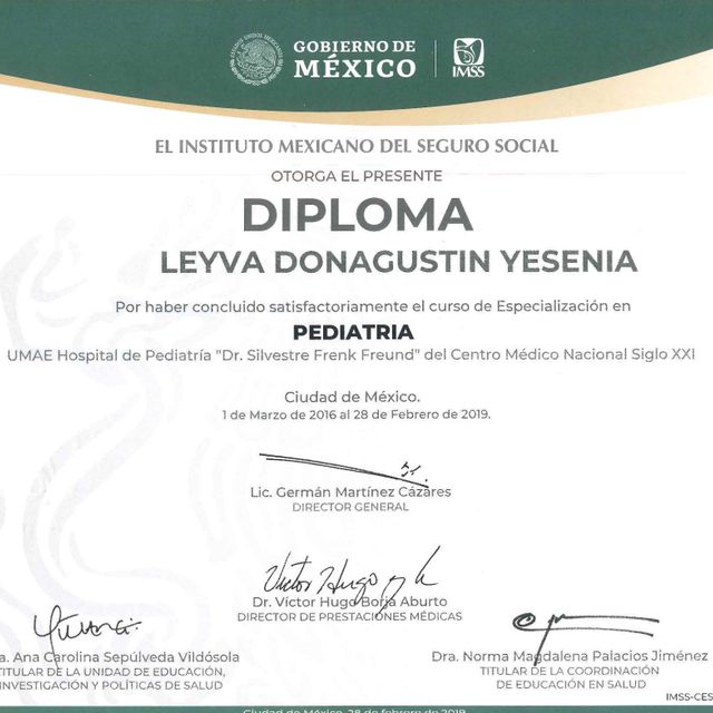 Ampliar imagen: certificate 4