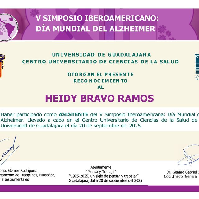 Ampliar imagen: certificate 13