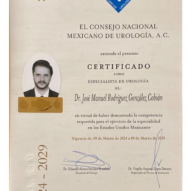 Ampliar imagen: certificate 7