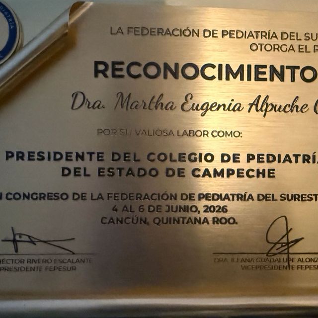 Ampliar imagen: certificate 7