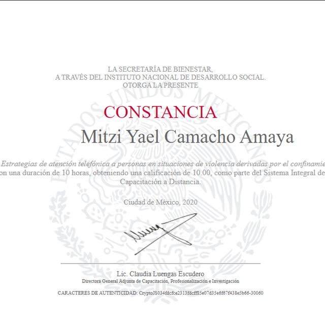 Ampliar imagen: certificate 11