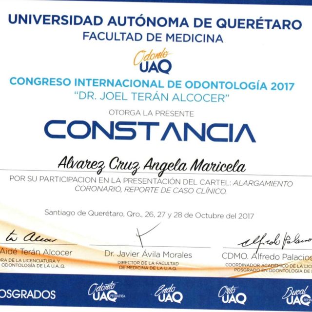 Ampliar imagen: certificate 6