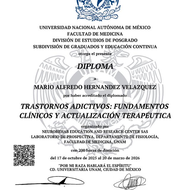 Ampliar imagen: certificate 5