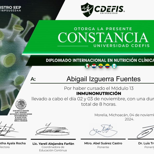 Ampliar imagen: certificate 3