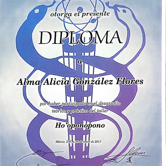 Ampliar imagen: certificate 22