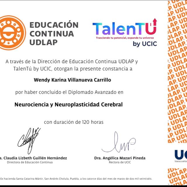 Ampliar imagen: certificate 26