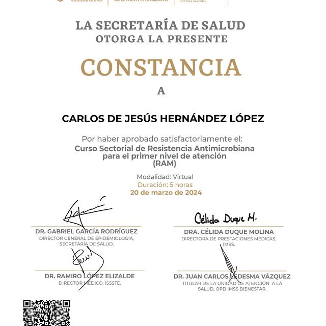 Ampliar imagen: certificate 8
